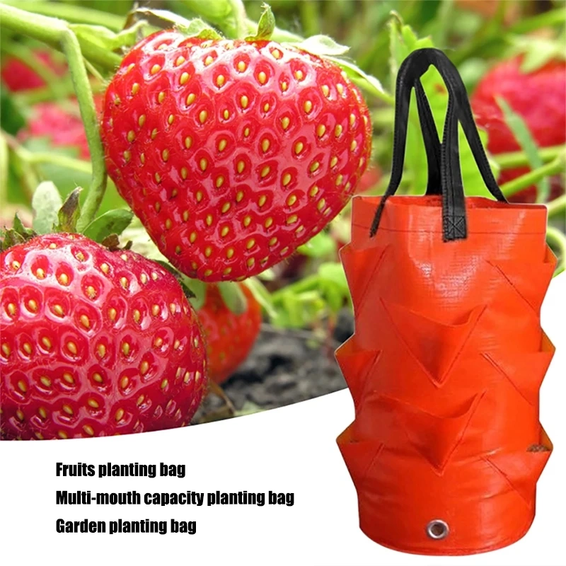 Garden Planting Bag Strawberry Grow Bag 3L Multi-Mouth Vertical Flower Herb Tomato Planter Bag