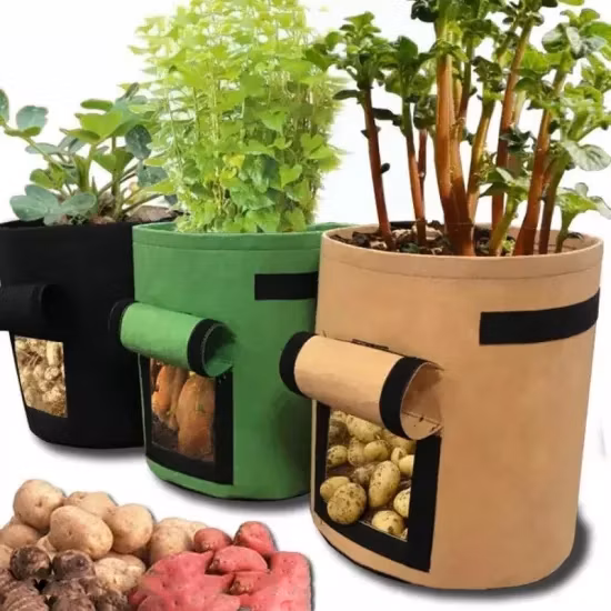 European 3 Gallon Fabric Pot Peanuts Durable Plant Grow Bags for Greening Projects