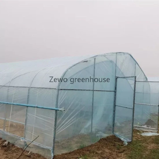 Mini serra a tunnel da giardino agricola a basso costo con rivestimento in PVC per stoccaggio/fiori/casa prefabbricata
