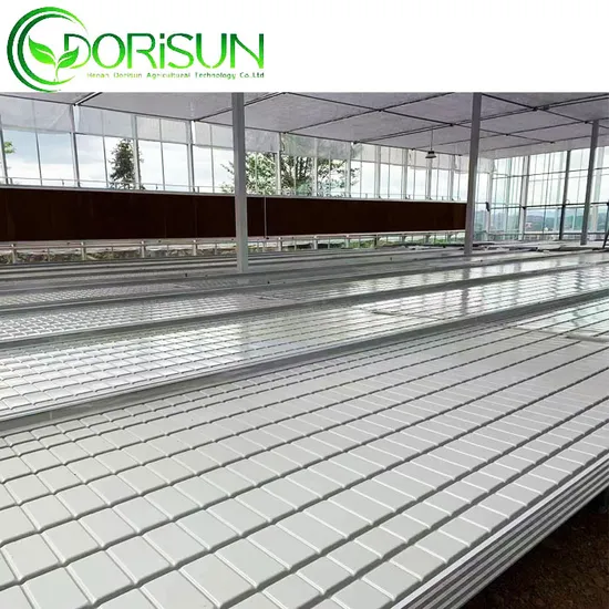 Serra agricola, coltura idroponica, semina, flusso e riflusso, logistica, letto di semina, crescita delle maree, tavoli a vassoio, banchi mobili