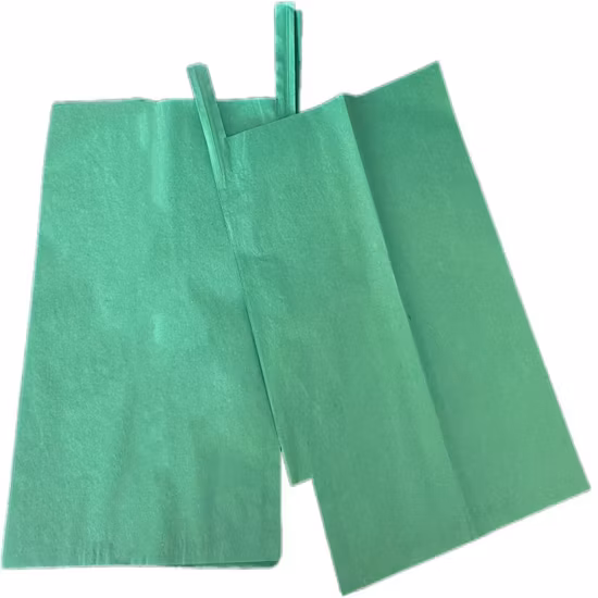 2-lagiermaterial Papiermaterial Mango Grow Bag Fruit Usekraft Paper Protection Bag
