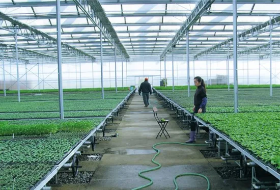 Tavolo da coltivazione in serra per letto di semina a flusso e riflusso Banco mobile mobile per semina/coltivazione