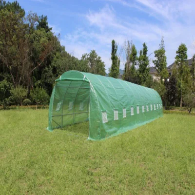 Tenda da coltivazione Invernadero per casa agricola a basso costo, mini serra da giardino in vendita