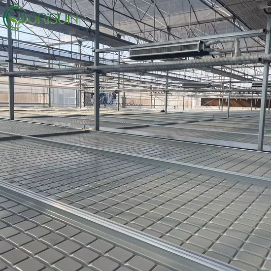 Tavolo Flood e vassoi per la coltivazione Banco rotante in vendita Tavolo per vivaio