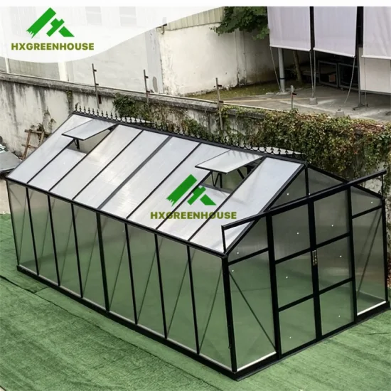 Vendita calda 10mm Policarbonato Huixin Serre Casa con struttura in alluminio Altra serra da giardino