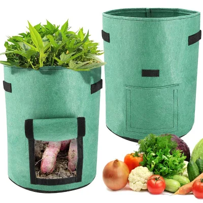 Sacchi per piante da 10 galloni per piante di patate, vasi per aerazione in tessuto di feltro con manici, sacchi per piante resistenti