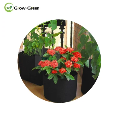 Grow-Green Confezione da 6 Sacchi da 5 Galloni per Coltivazione di Piante per Vasi di Aerazione di Patate/Verdure/Vello con Manici (Nero)