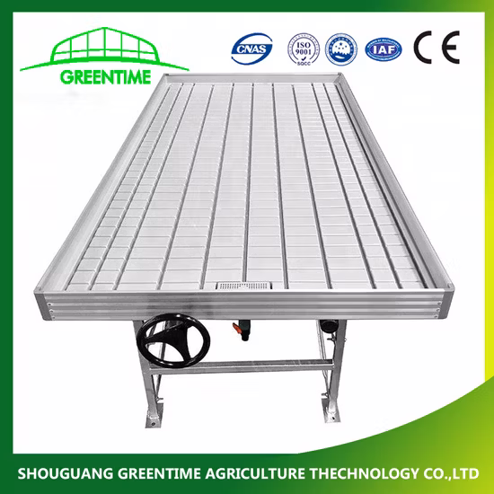 Tavolo allagabile 2023 e vassoi per piantare, banchi mobili per panchine in serra