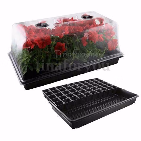 Vassoio per avviamento di semi di piante per vassoio di propagazione da giardino del produttore cinese con cupola e base in plastica per piantine